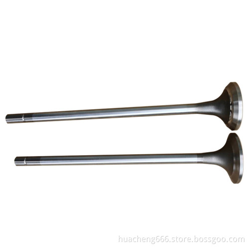 Cummins engine valve for QX15